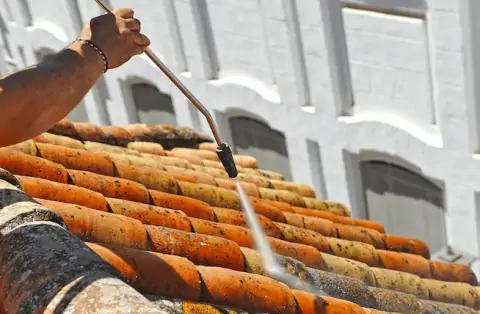 Démoussage de toiture à Cestas